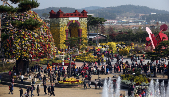 국화꽃 향기로 물드는 함평...‘대한민국 국향대전’ 23일 개막
