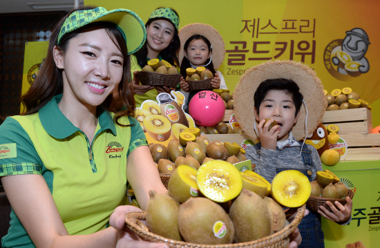 제스프리 제주 골드키위1