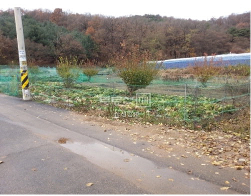 화성시마도면토지