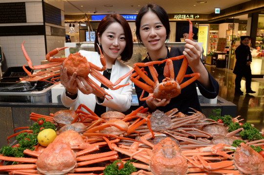 도심 속 울진대게·홍게 대축제3