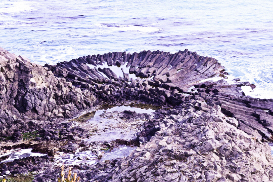 [관광] 경주 주상절리